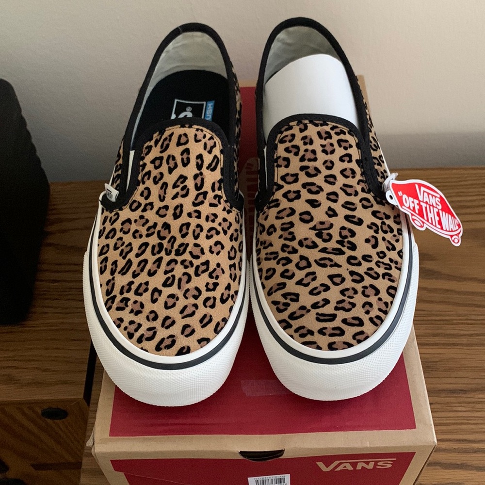 Vans Slip on Skate shoe